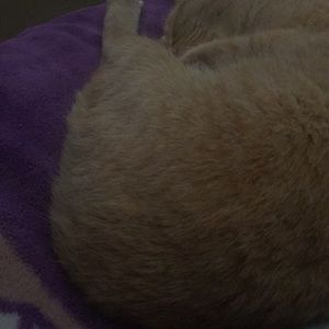 Meet your Posher, Ruth